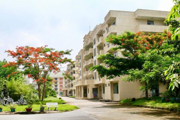 Lưu nháp tự động