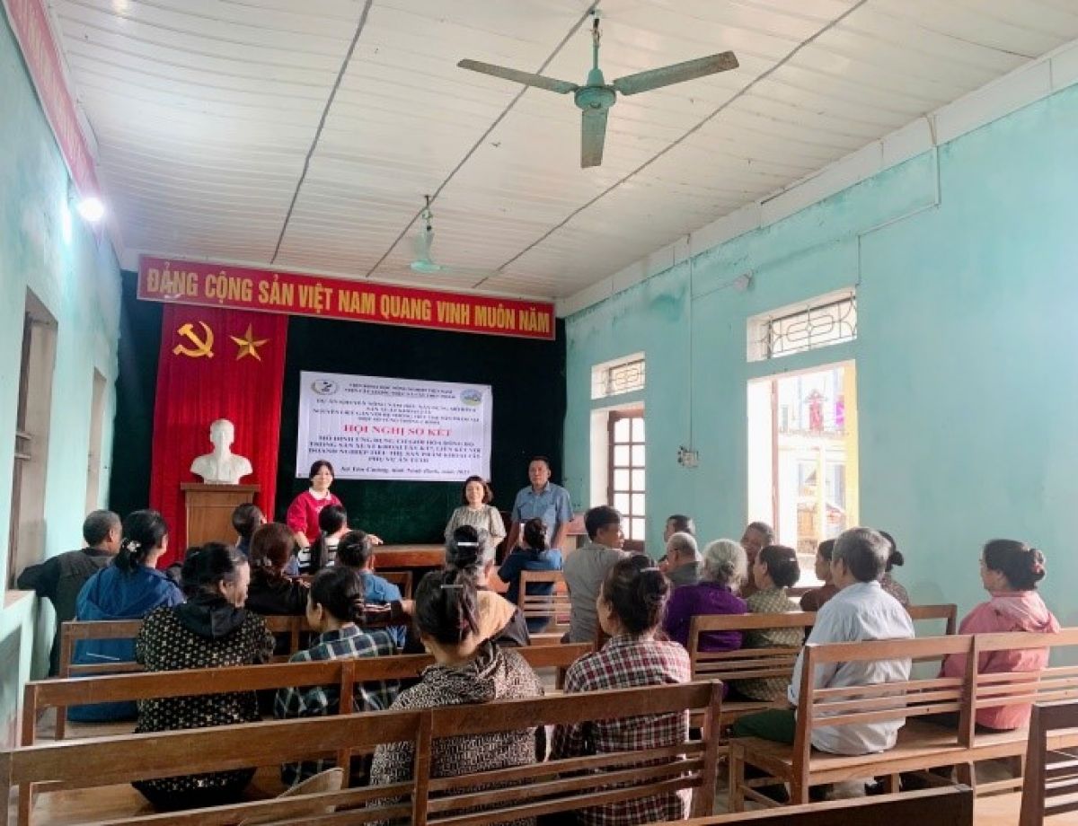 Hiệu quả mô hình sản xuất khoai tây KT7 gắn với liên kết tiêu thụ sản phẩm tại Ninh Bình