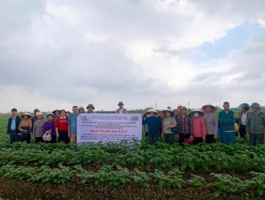 Hiệu quả mô hình sản xuất khoai tây KT7 gắn với liên kết tiêu thụ sản phẩm tại Ninh Bình