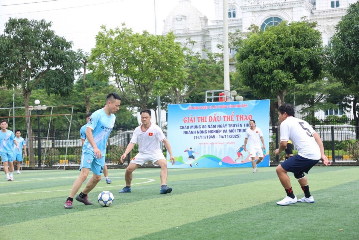 Sở Nông nghiệp và Môi trường tổ chức giải thể thao chào mừng 80 năm ngày truyền thống